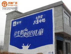 <b>墻體廣告的優勢及好處</b>