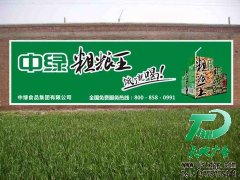 電視廣告和墻體廣告哪一個更適合小公司