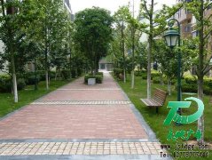 專業的園林綠化為你的私人花園與公園更加唯美