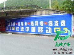 五百強企業也要做的墻體廣告