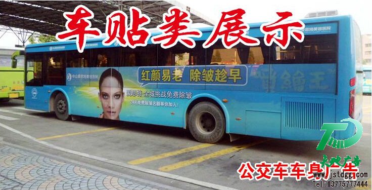 高品質車貼