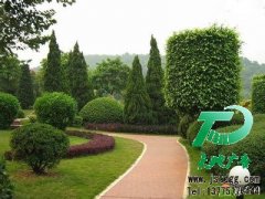 園林綠化適合當代人們的需求