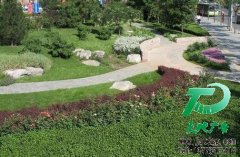園林綠化帶給市政建設的好處