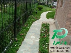 公司當前也非常重視園林綠化