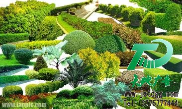 園林綠化