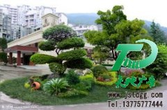 園林綠化被不少公司都看到了它的價(jià)值